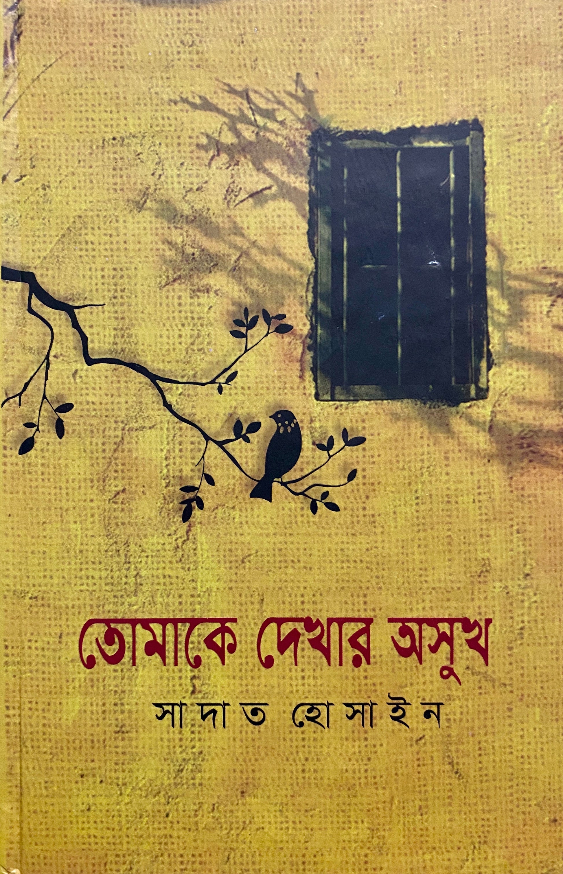 তোমাকে দেখার অসুখ সাদাত হোসাইন