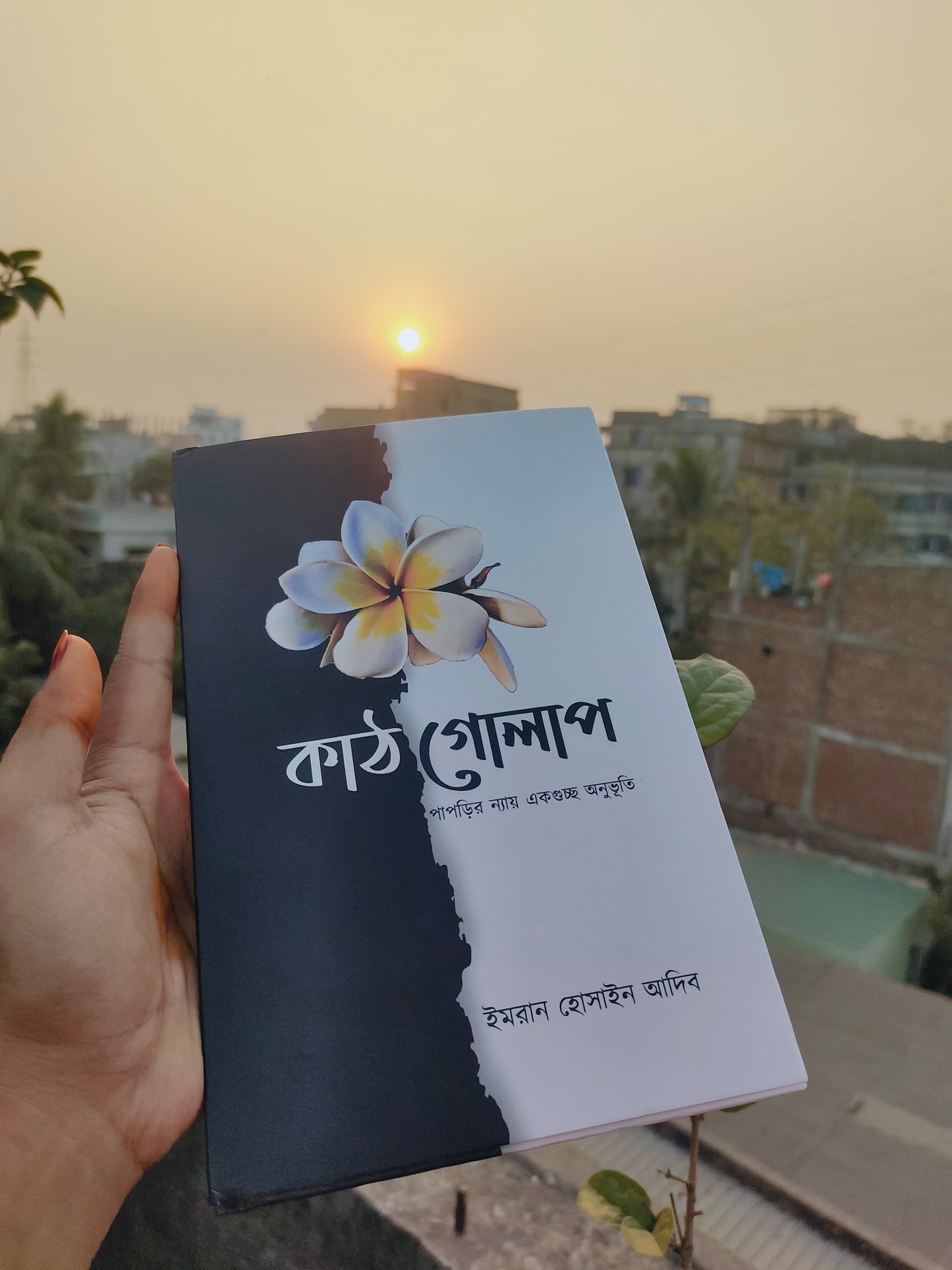 কাঠগোলাপ - ইমরান হোসাইন আদিব